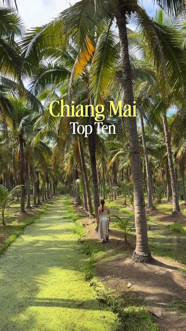 Chiang Mai's Top Temples, Parks, and Attractions