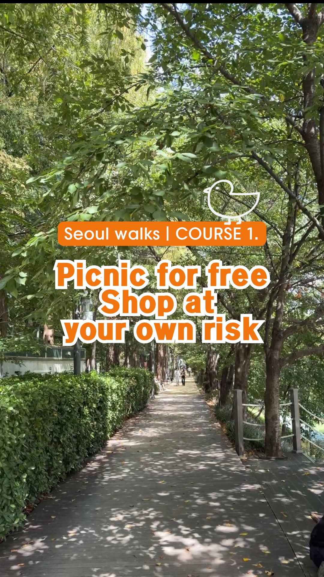 Seoul's Green Spaces and Shops For Picnics