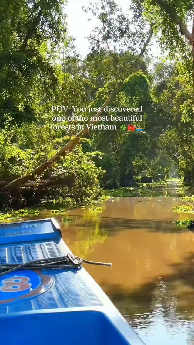 Tra Su Cajuput Forest Boat Rides