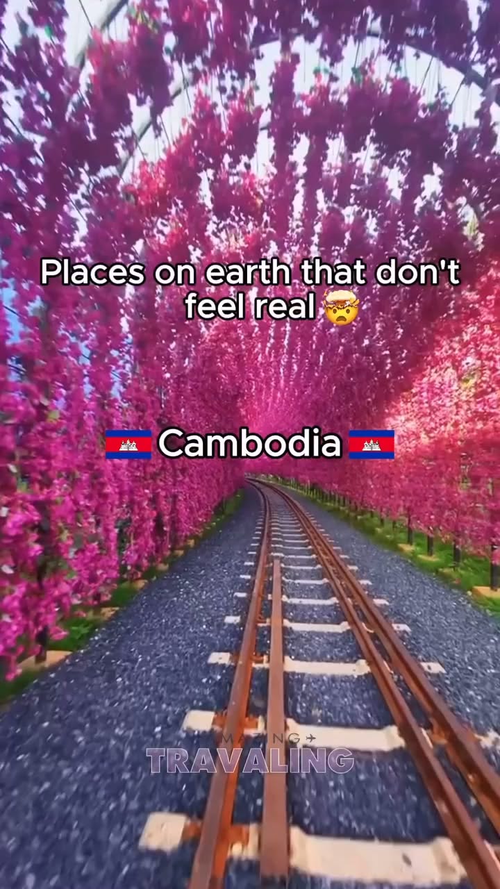 Cambodia's Royal Palace, Angkor Wat, and Mekong