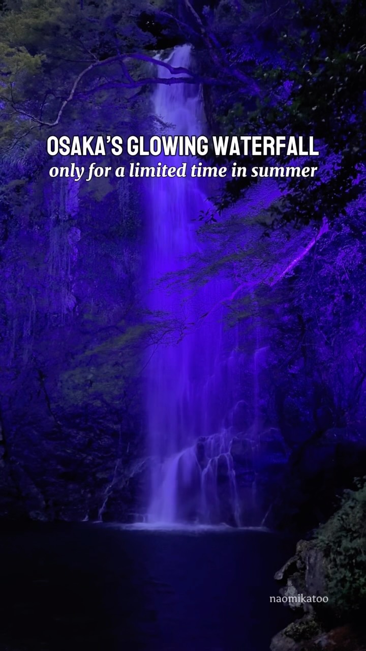 Minoh Falls Summer Night Illumination