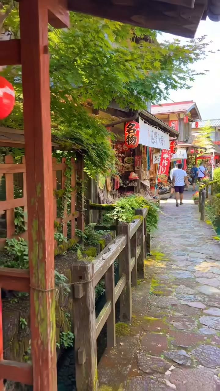 Oshino Hakkai And Mount Fuji Views