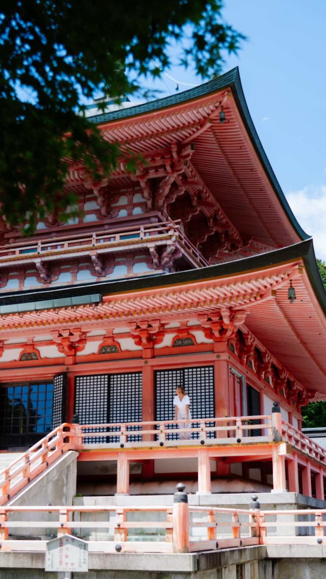 Kyoto's Hidden Gems And Essential Landmarks