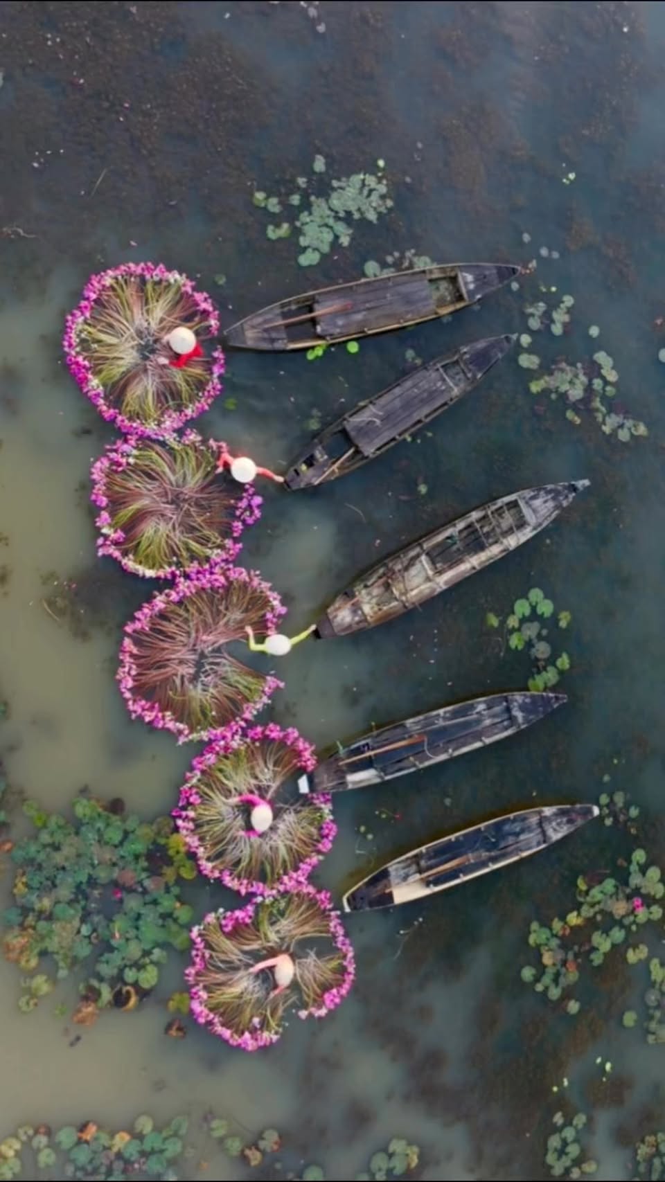 Southern Vietnam's Delta and Red Sand Dunes