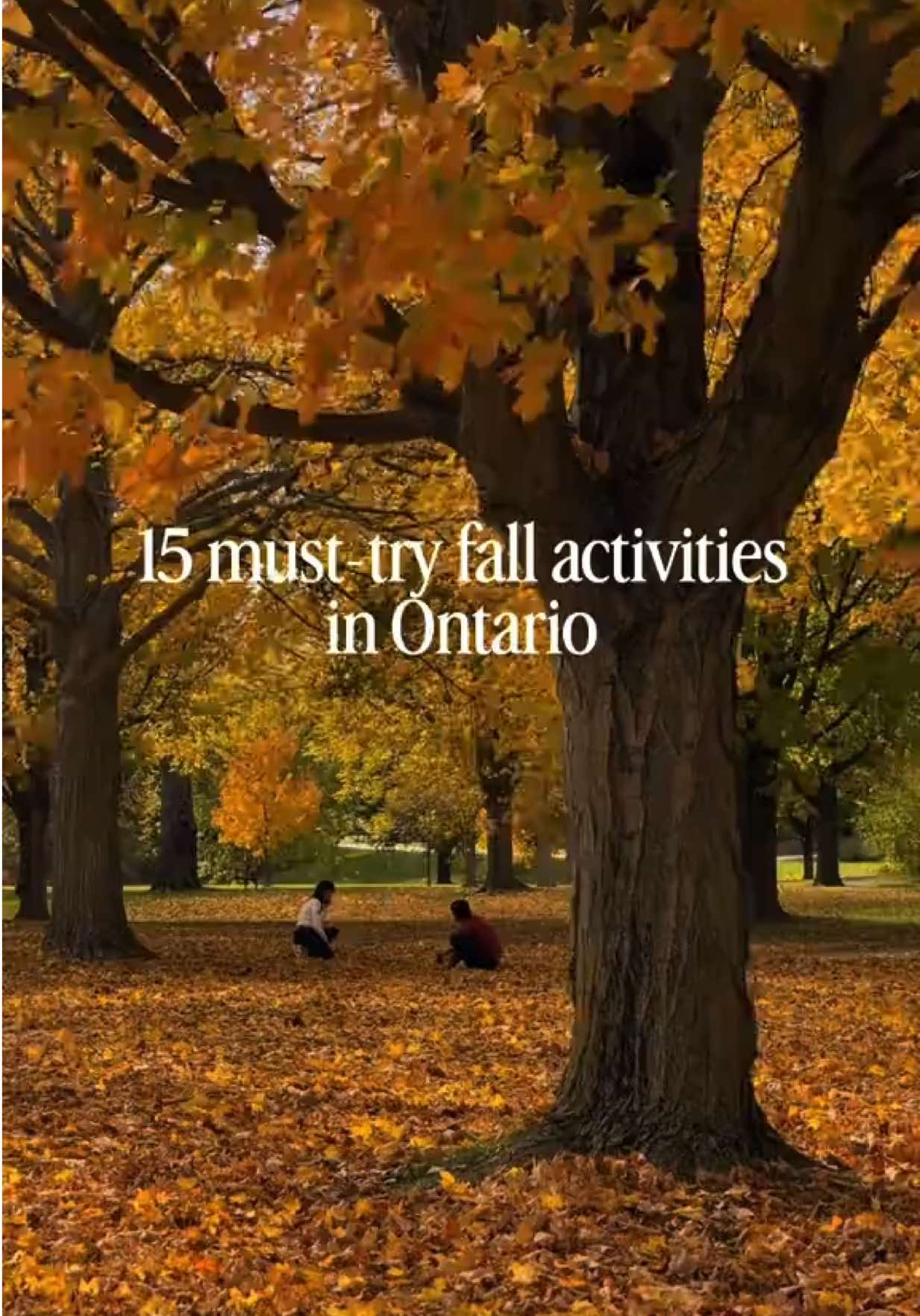 Ontario's Spooky Fall Attractions And Family Fun