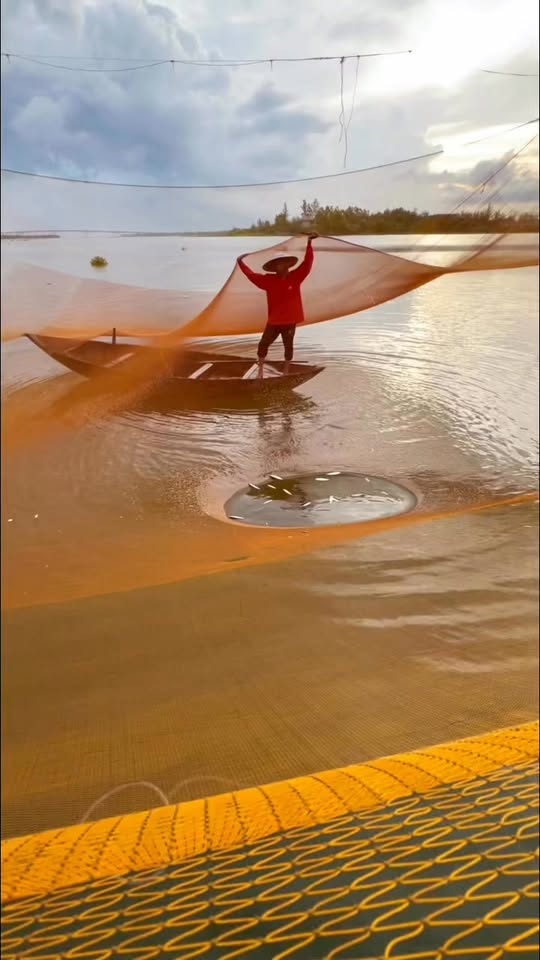 Fisherman's Sunrise Rituals at Thu Bon River