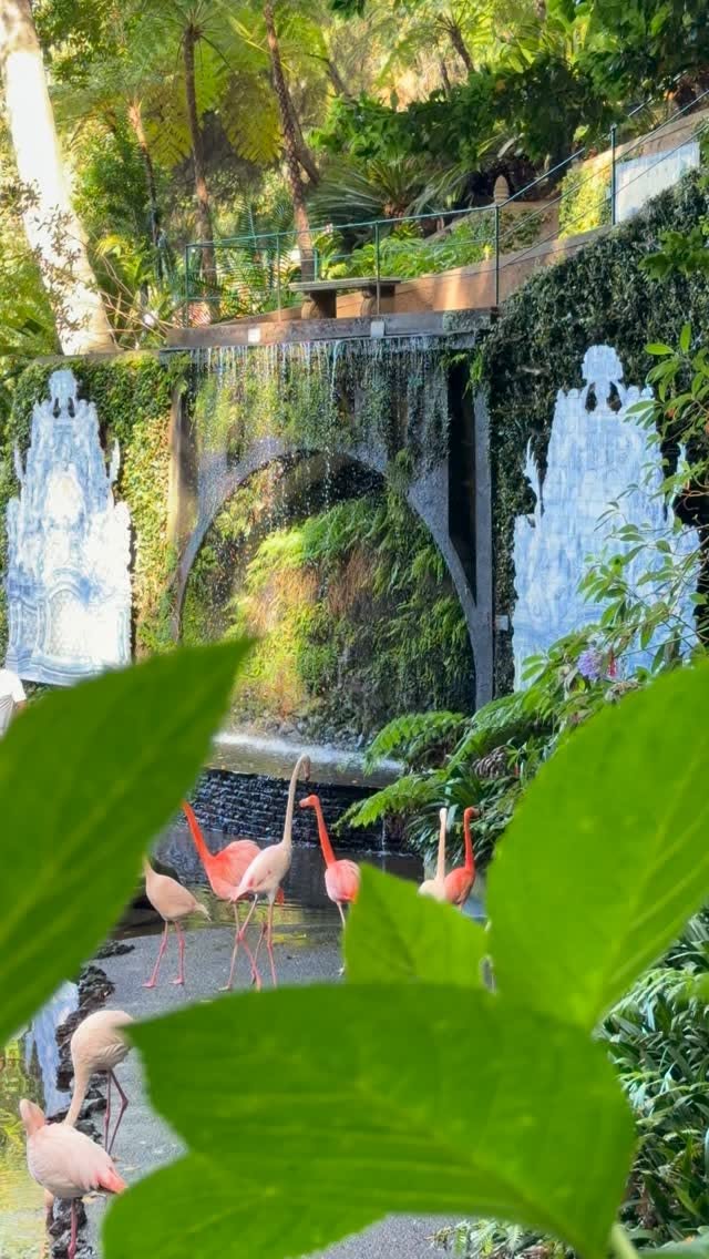 Jardim Monte Palace Madeira's Tropical Charm