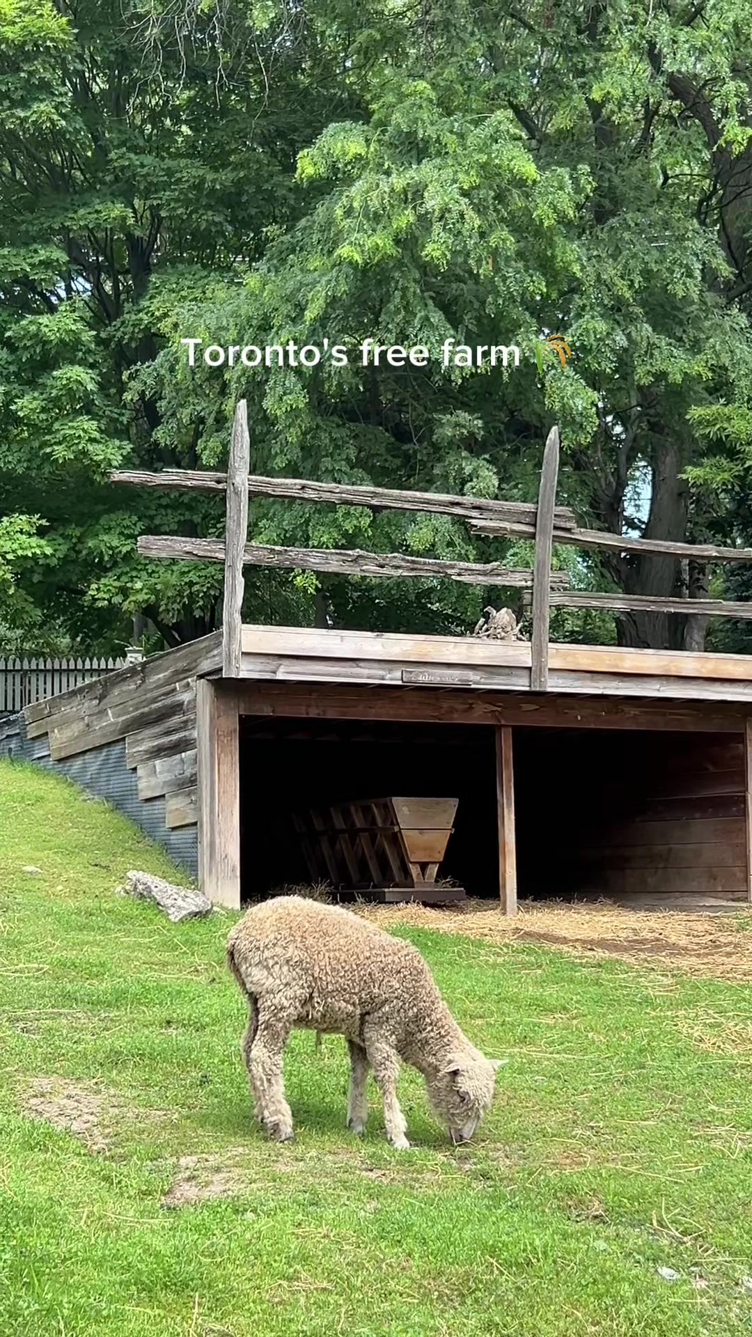 Riverdale Farm: A Charming Storybook Farm