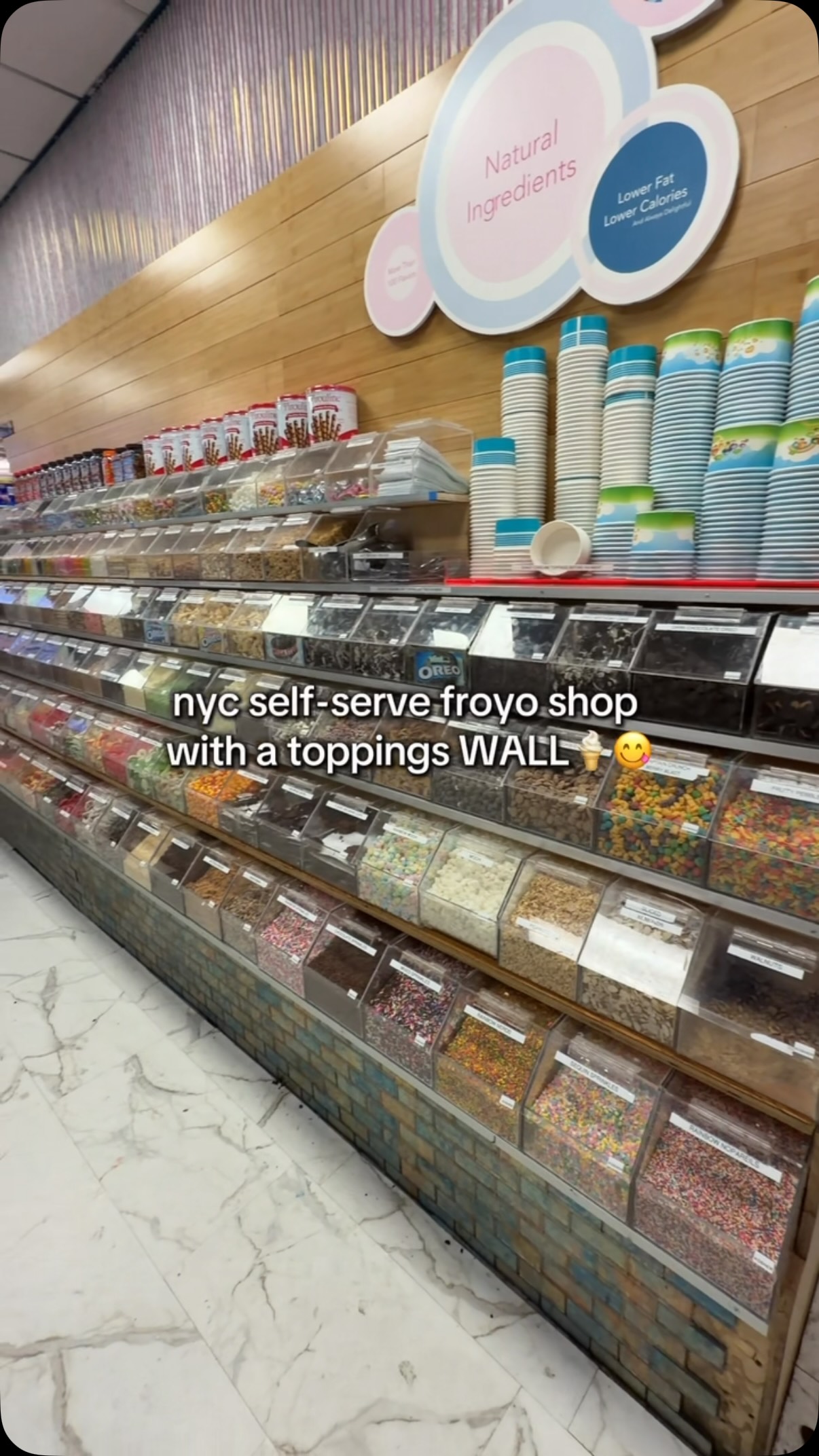 Tasti D-Lite: NYC Frozen Yogurt Shop