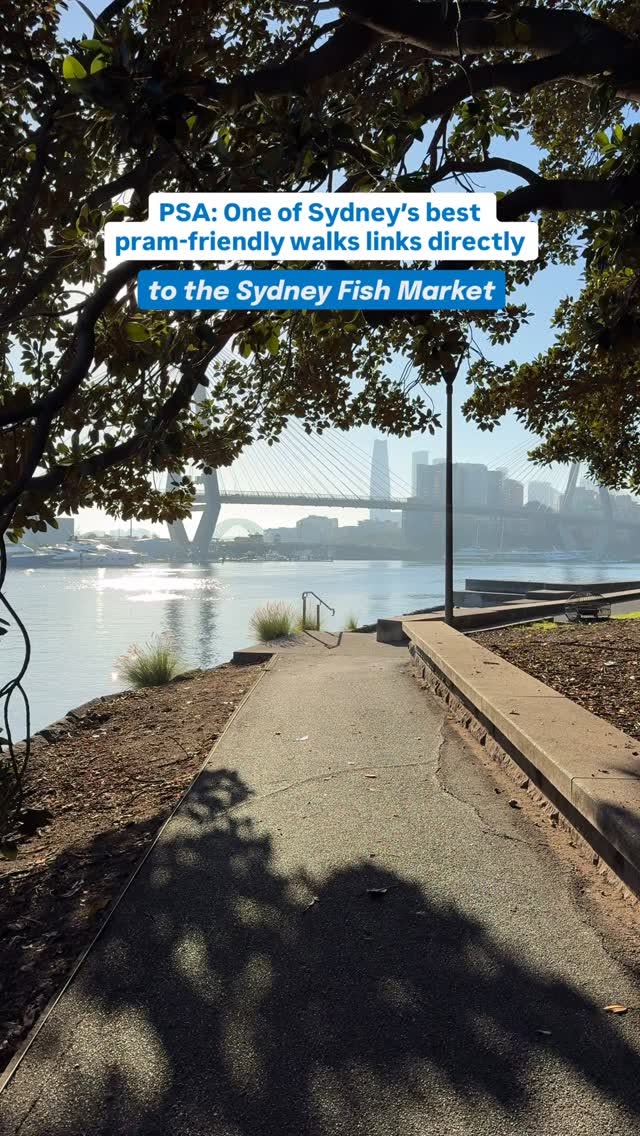 Pram-Friendly Sydney Walk To Fish Market