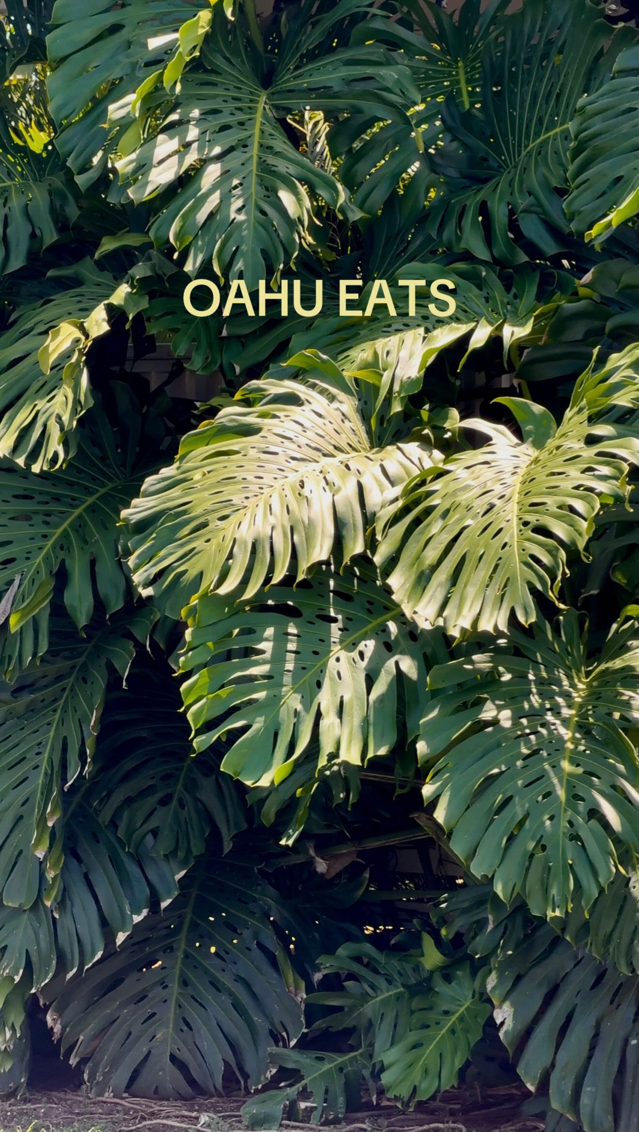 Six Island Eateries Offer Diverse Culinary Delights