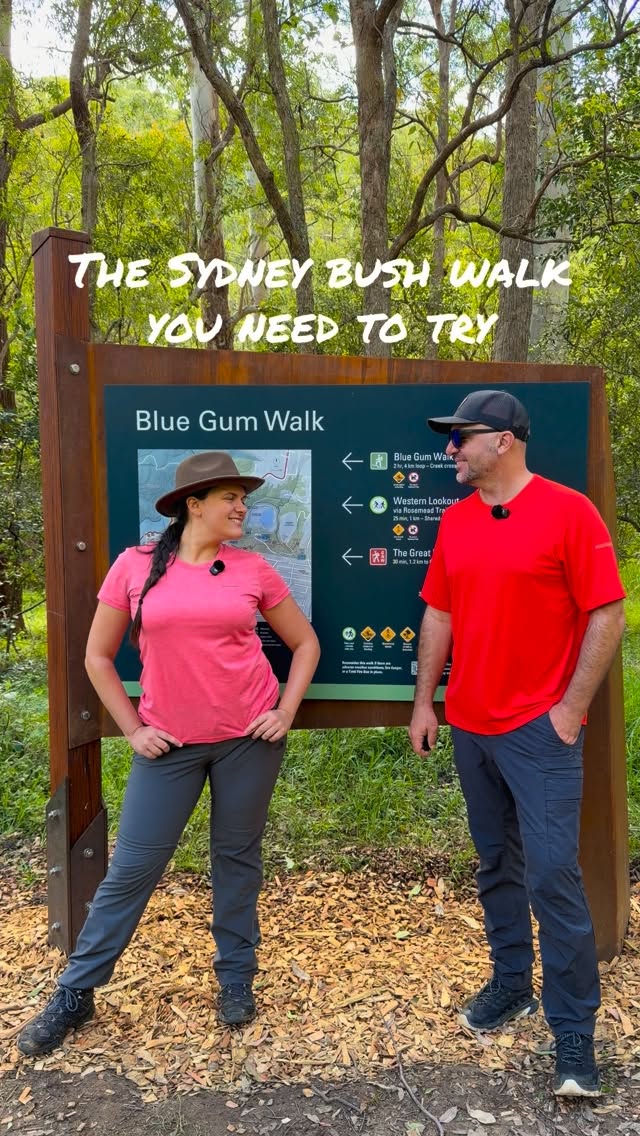 Sydney Bush Walks With Creek Crossings