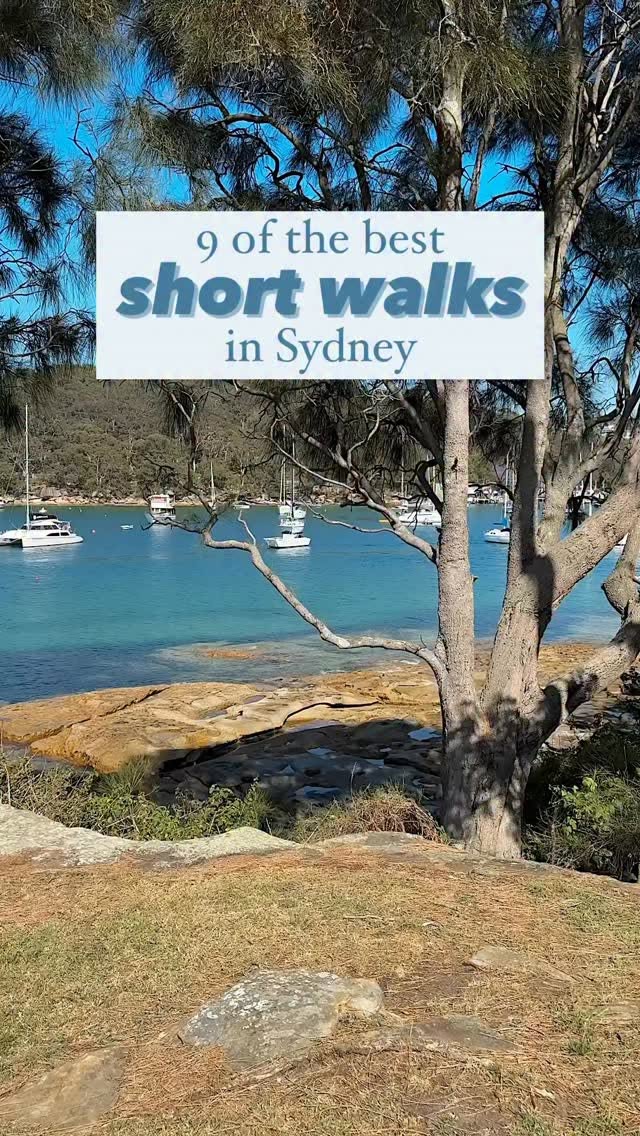 Sydney's Coastal Walks And Scenic Views