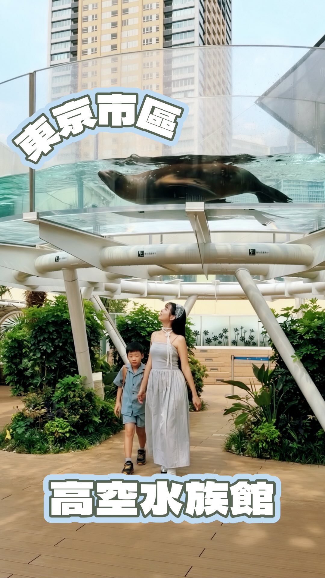 Sunshine Aquarium: An Indoor Aquatic Escape