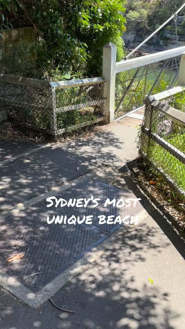Parsley Bay: A Protected Sydney Harbour Swim