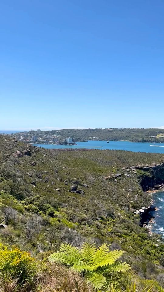 Coastal Walks Sydney Harbour