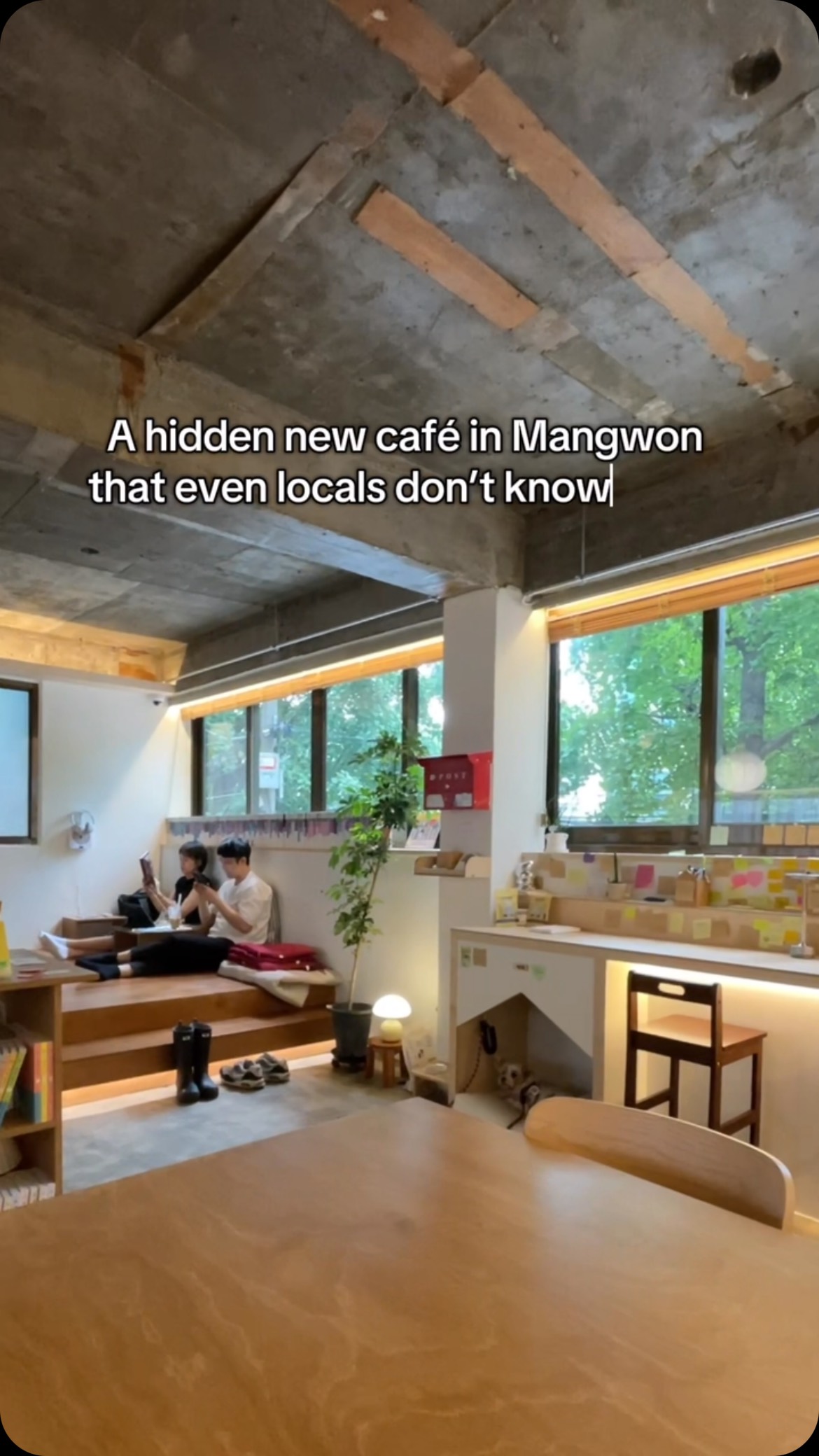 Mangwon Market's Secret Pet-Friendly Cafe