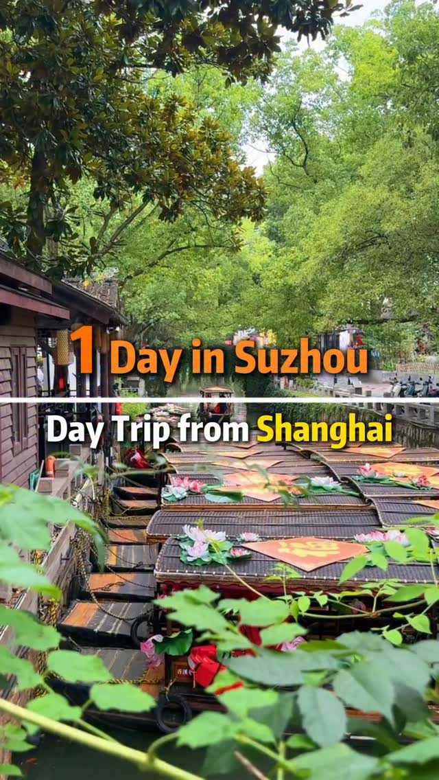 Suzhou Day Trip: Gardens, Old Streets, and Night Views