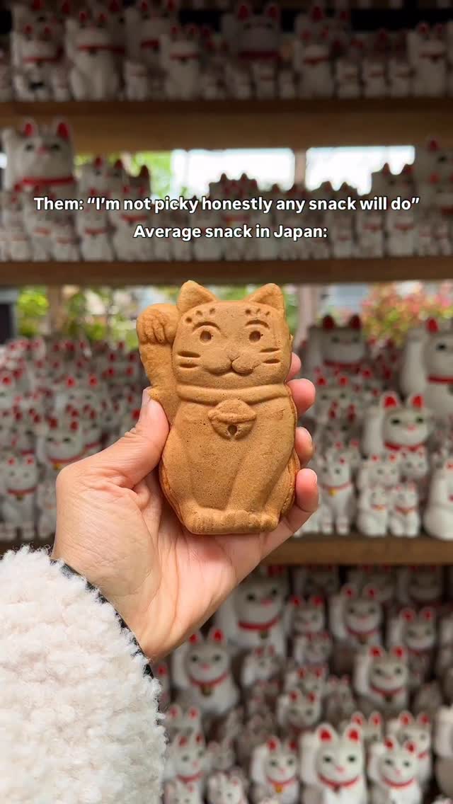 Lucky Cat Snacks Near Tokyo's Gōtokuji Temple