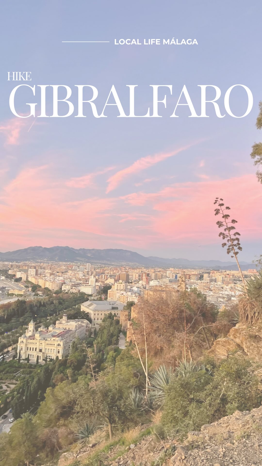 Walk Through Forest To Castillo De Gibralfaro