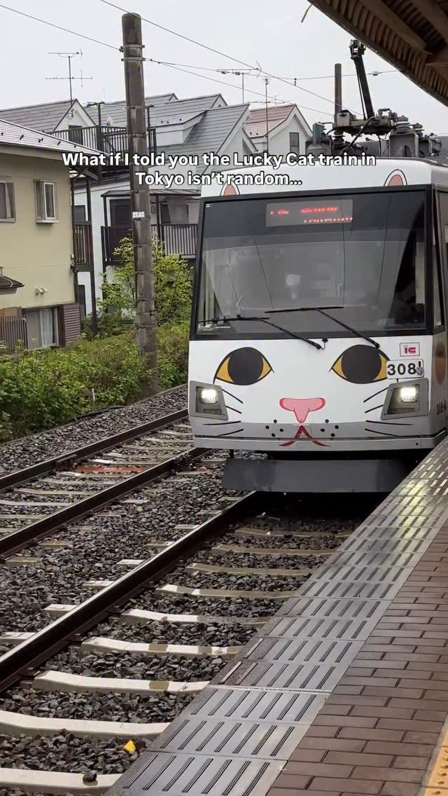Tokyo's Lucky Cat Temple and Train