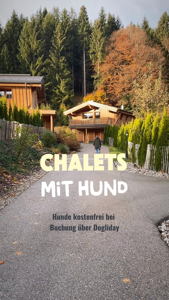 Dog-Friendly Chalets with Hot Tubs and Saunas
