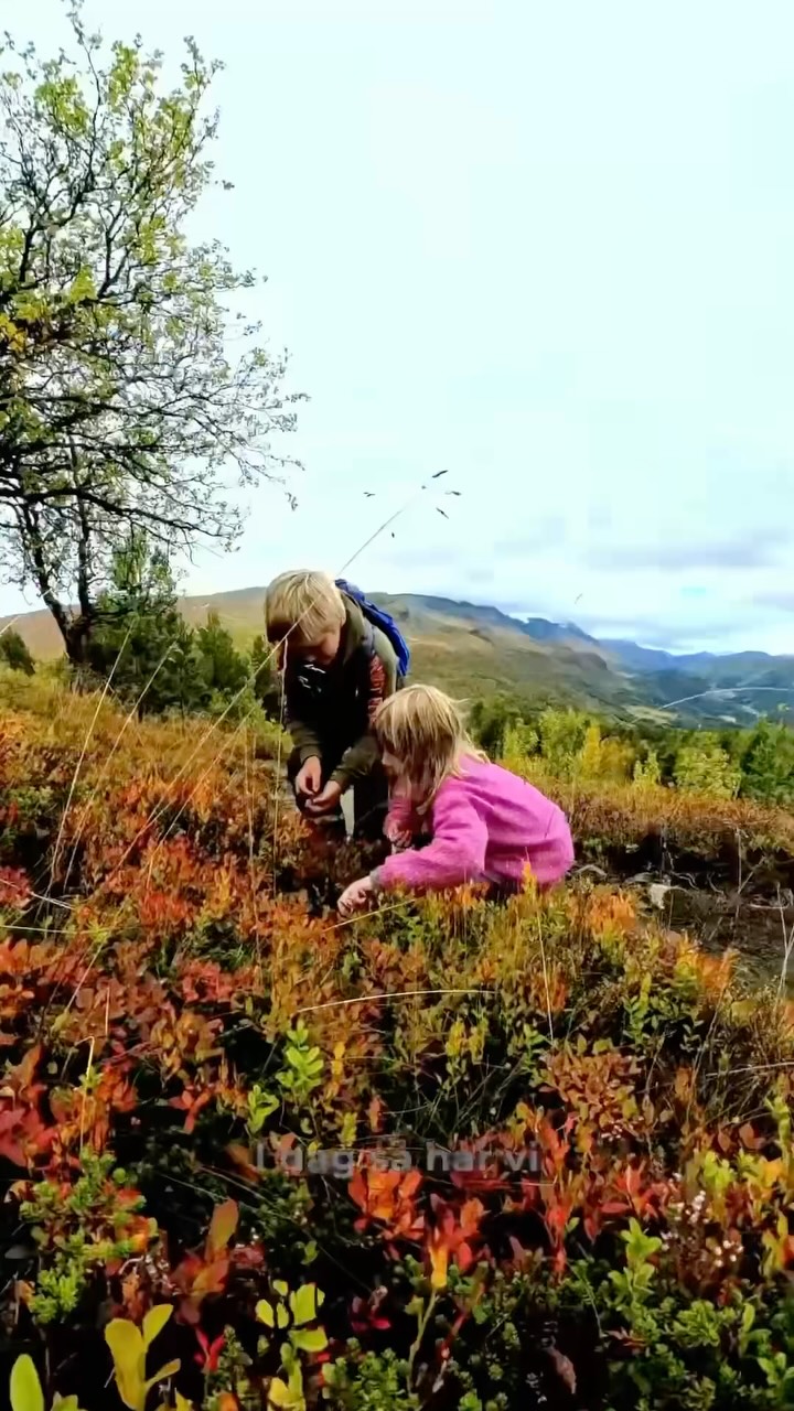 Autumn Family Hike Through Jotunheimen Mountains