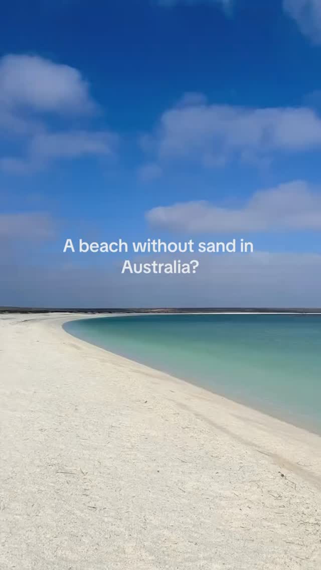 Shell Beach: A Shoreline Made of Tiny Shells