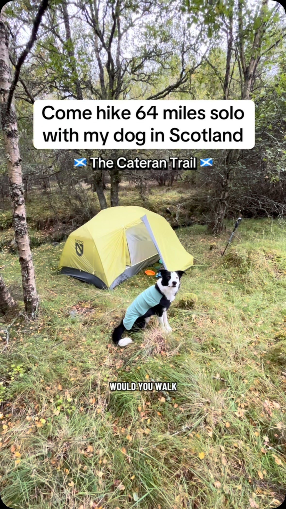 Scotland's Cateran Trail: A Circular Hike Celebration