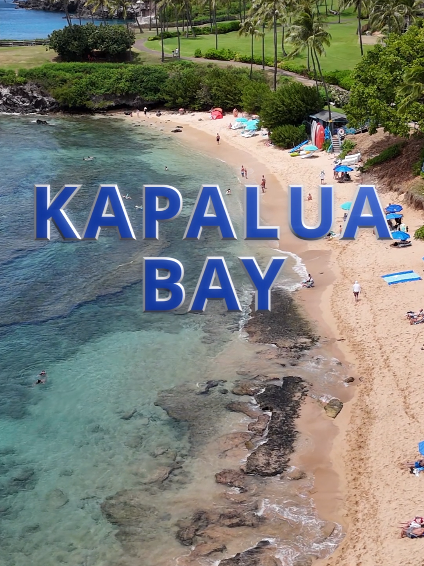 Kapalua Bay Beach And Coastal Trail Guide
