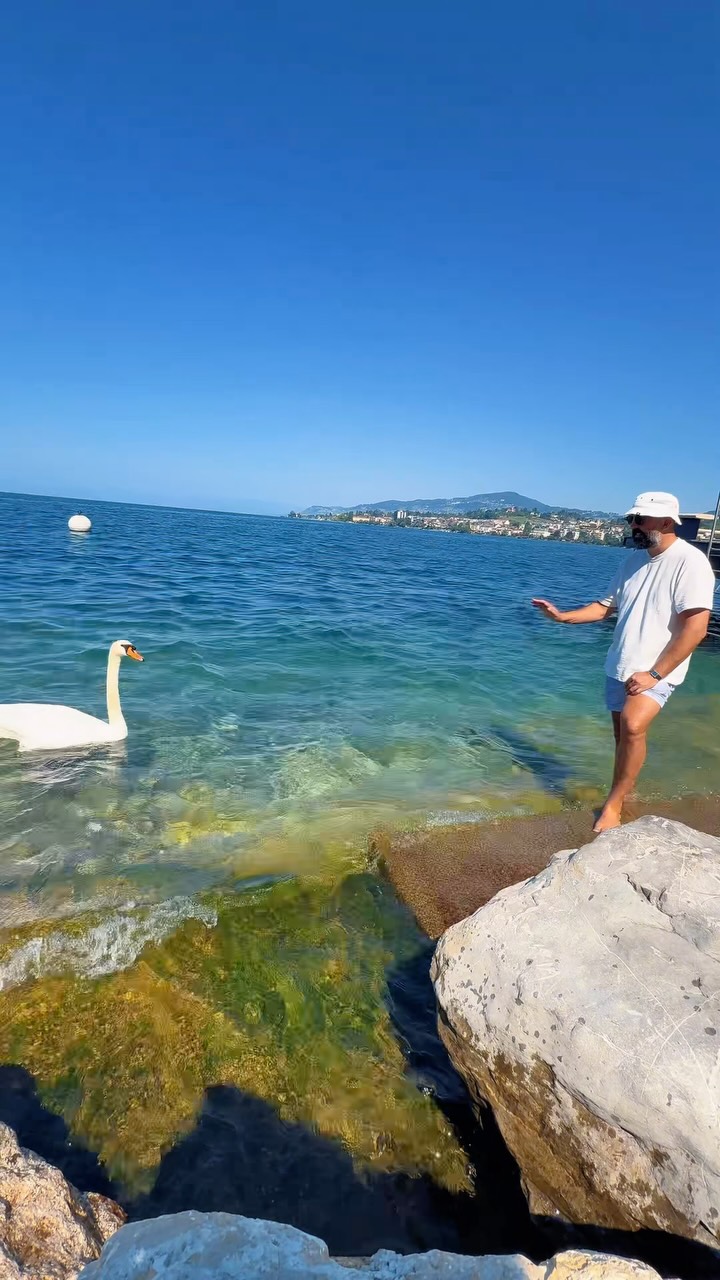 Montreux's Thoughtful Design and Lake Geneva Charm