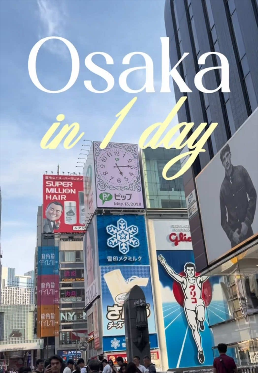 Osaka Attractions: Castles, Markets, and Shopping