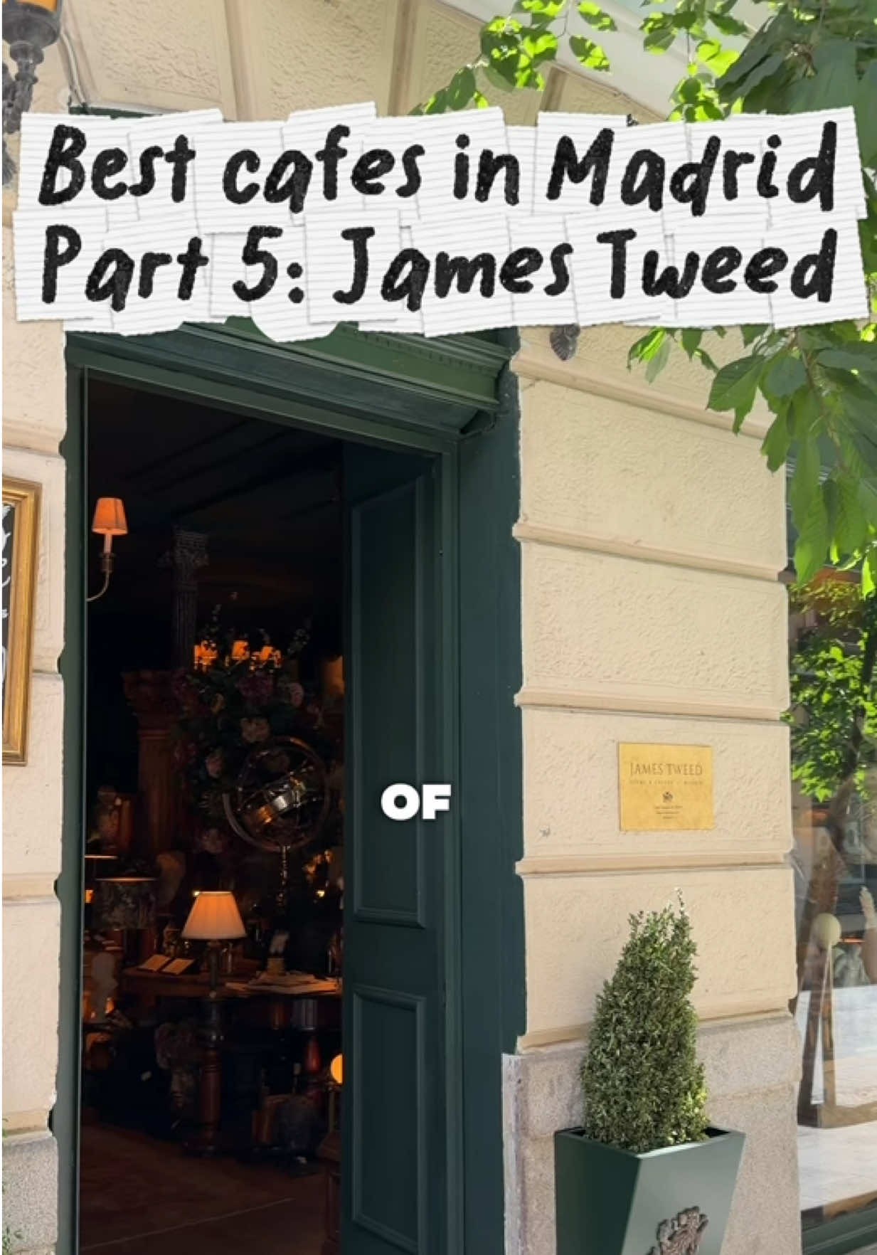 Madrid's Antique Shop Cafe Experience