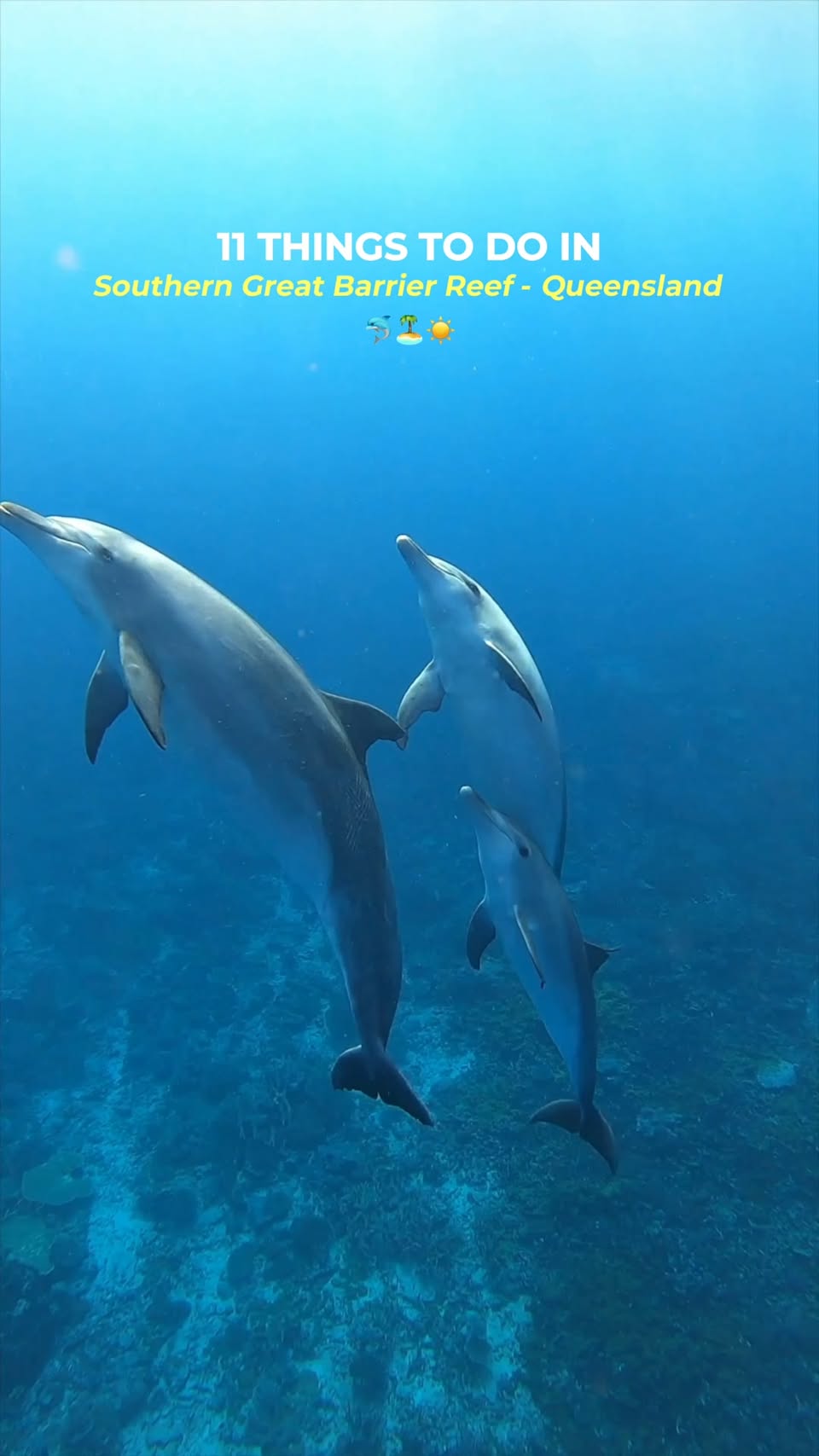 Southern Great Barrier Reef's Top Ten Adventures
