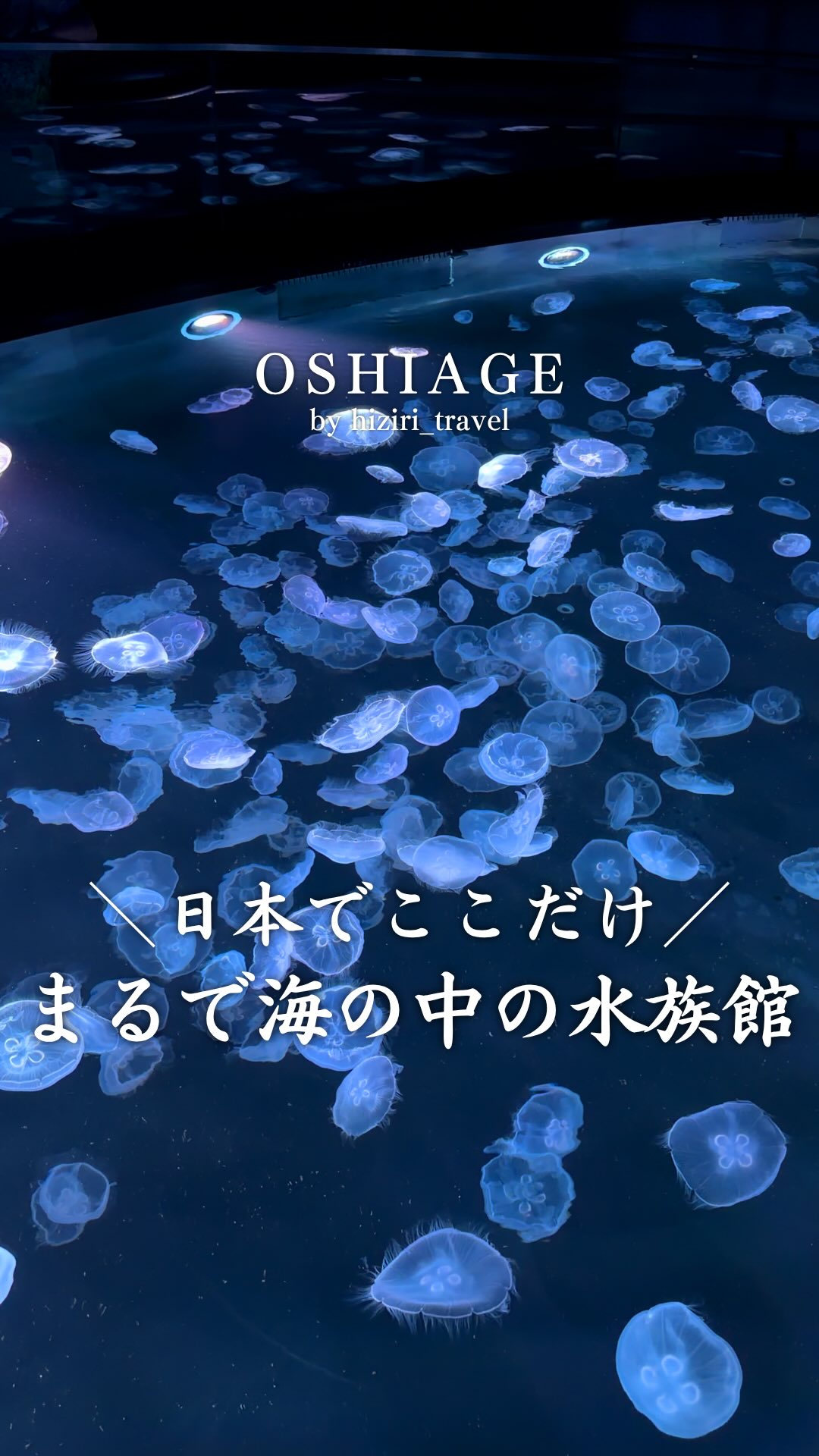 Sumida Aquarium's Jellyfish and Penguin Wonders