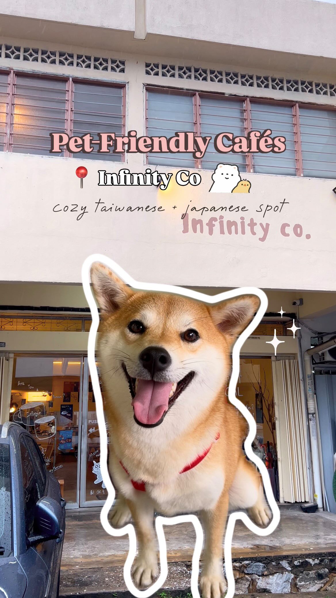 InfinityCo Offers Taiwanese and Japanese Dishes