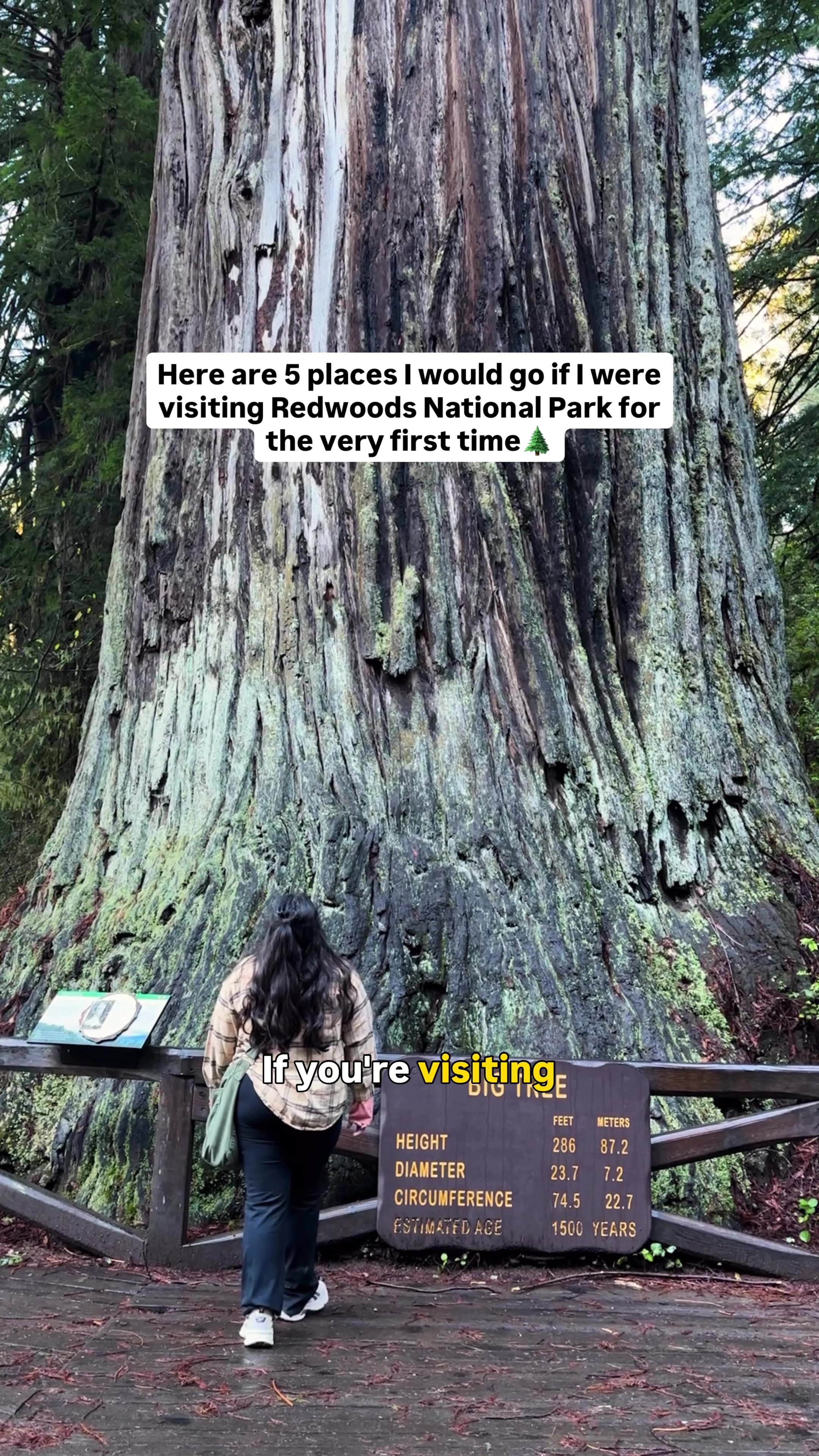 Redwood National Park's Top Destinations