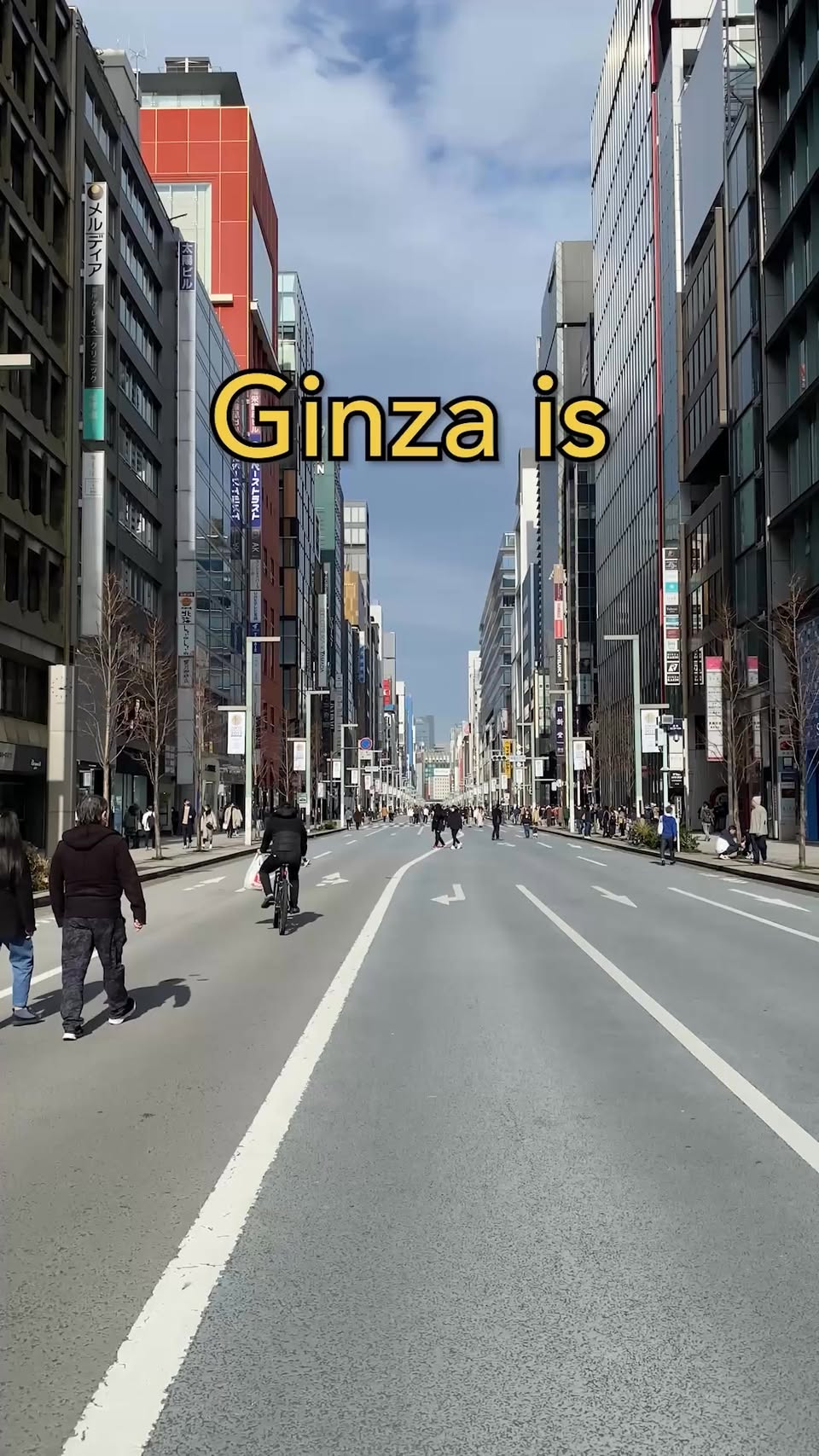 Tokyo's Ginza: Food, Shopping, and Unique Discoveries