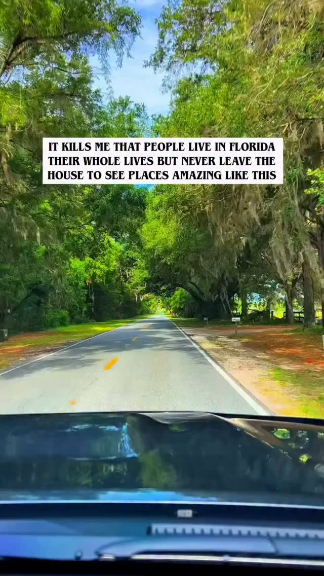 Explore Florida's Unique Attractions and Natural Beauty