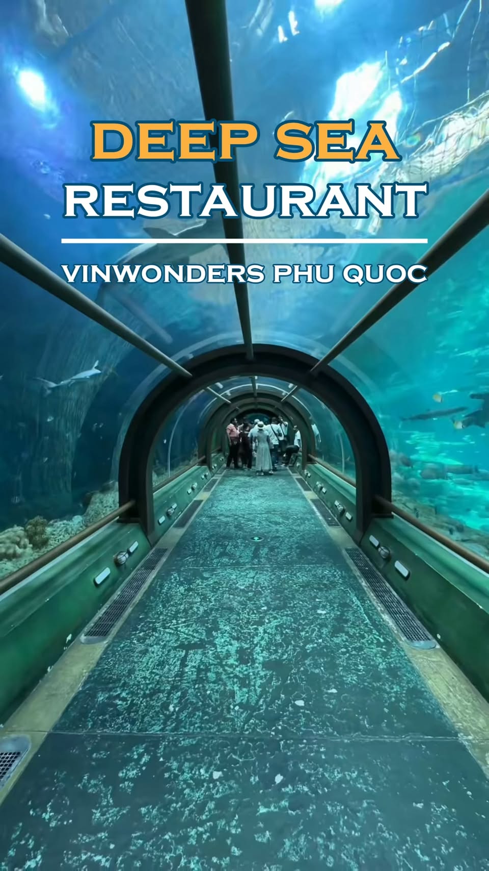 Underwater Dining Experience At VinWonders Phu Quoc