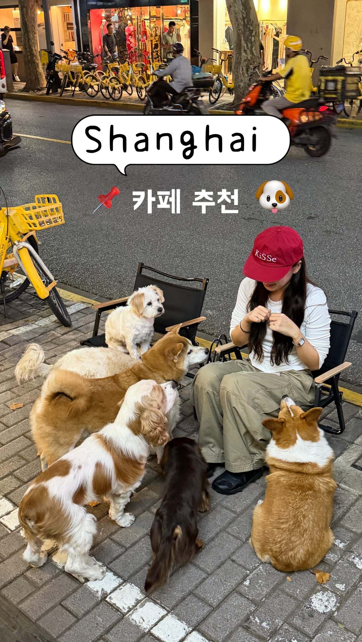 Cafe With Free-Roaming Dogs