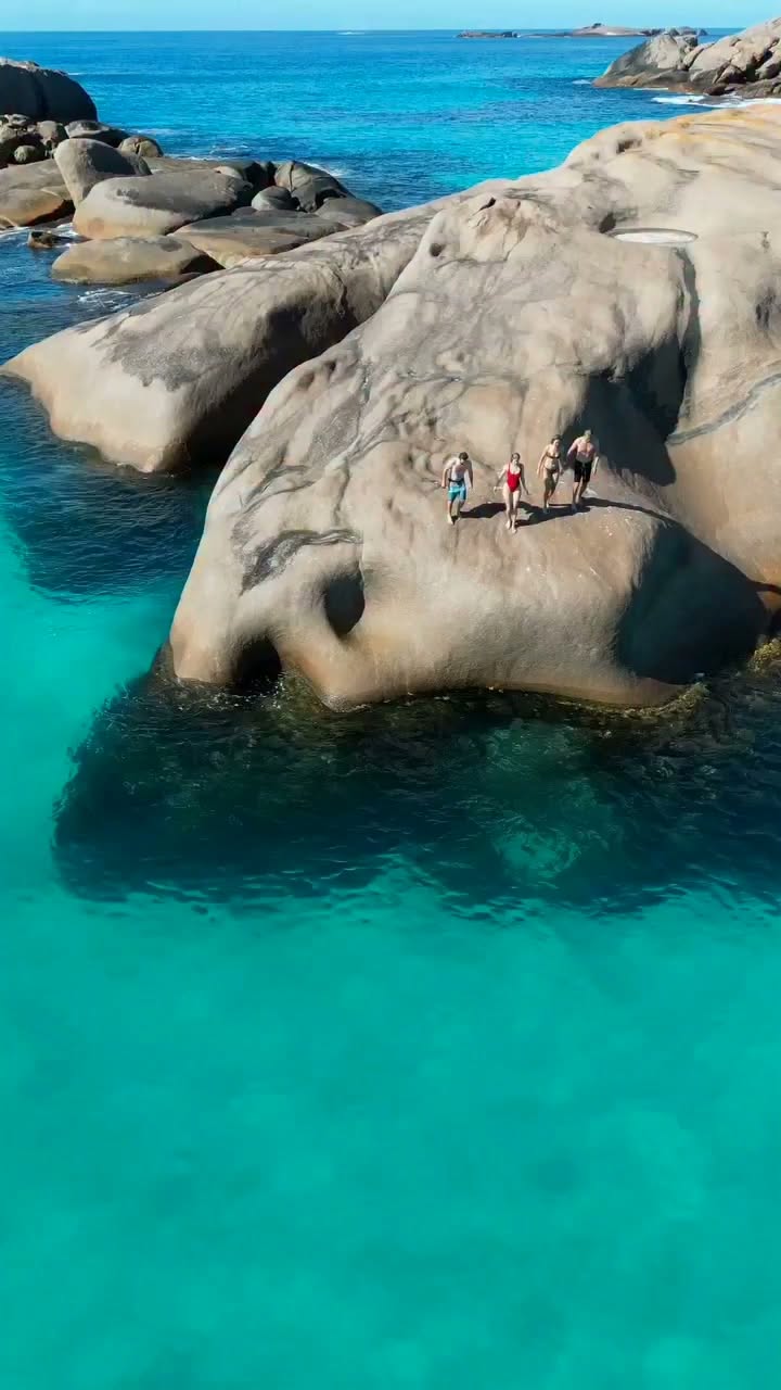 Dolphins Play Near Swimmers At Twilight Beach