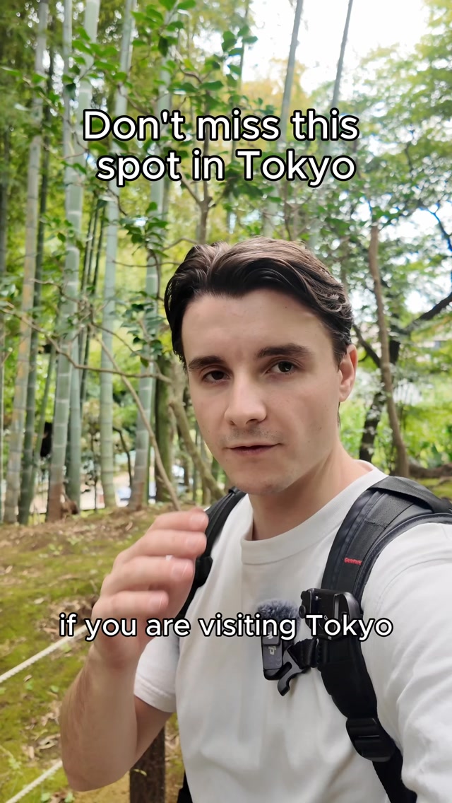 Tokyo's Todoroki Valley: Nature Escape Near Shibuya