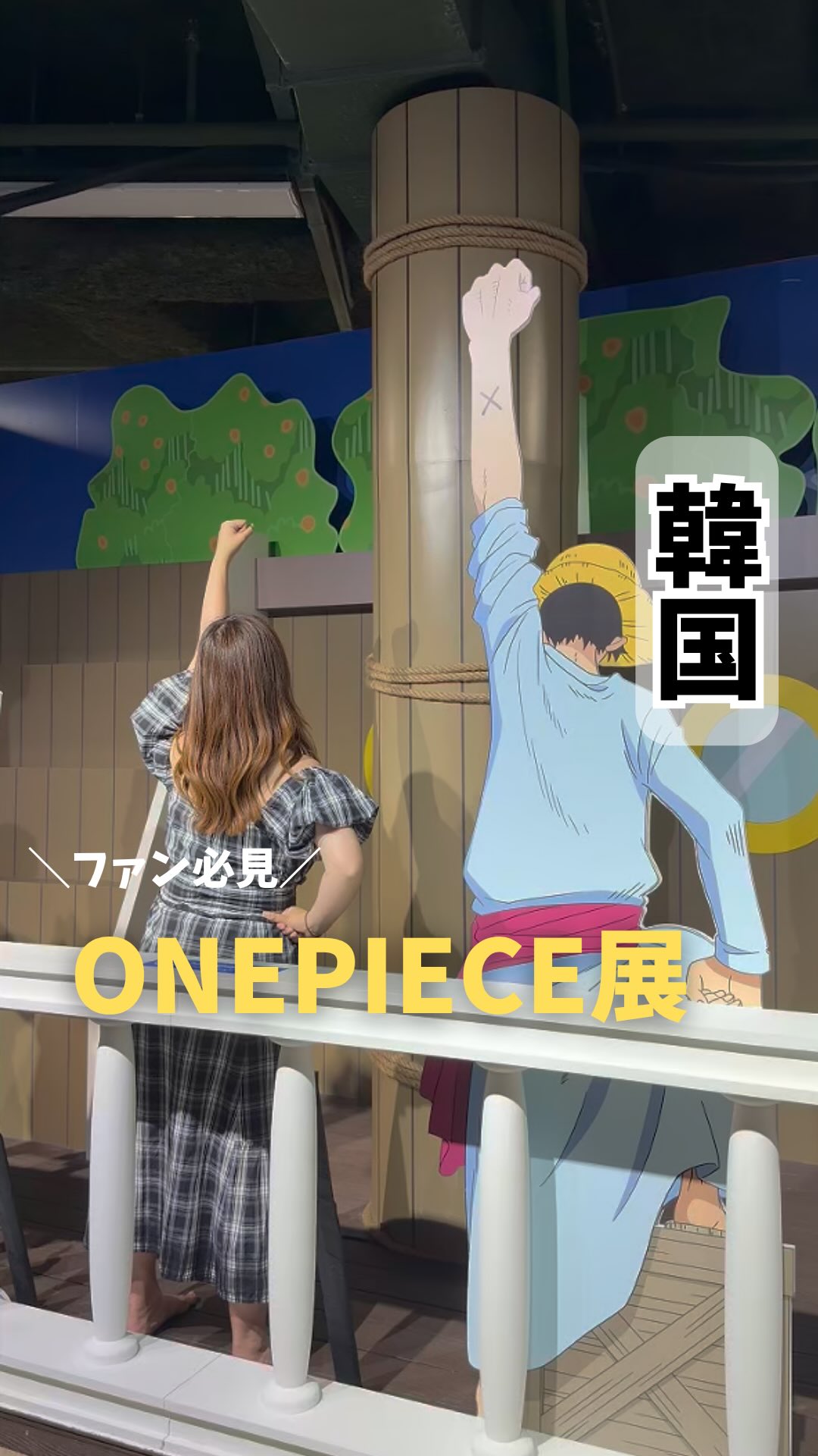 Immersive One Piece Exhibition Features Water and Lights