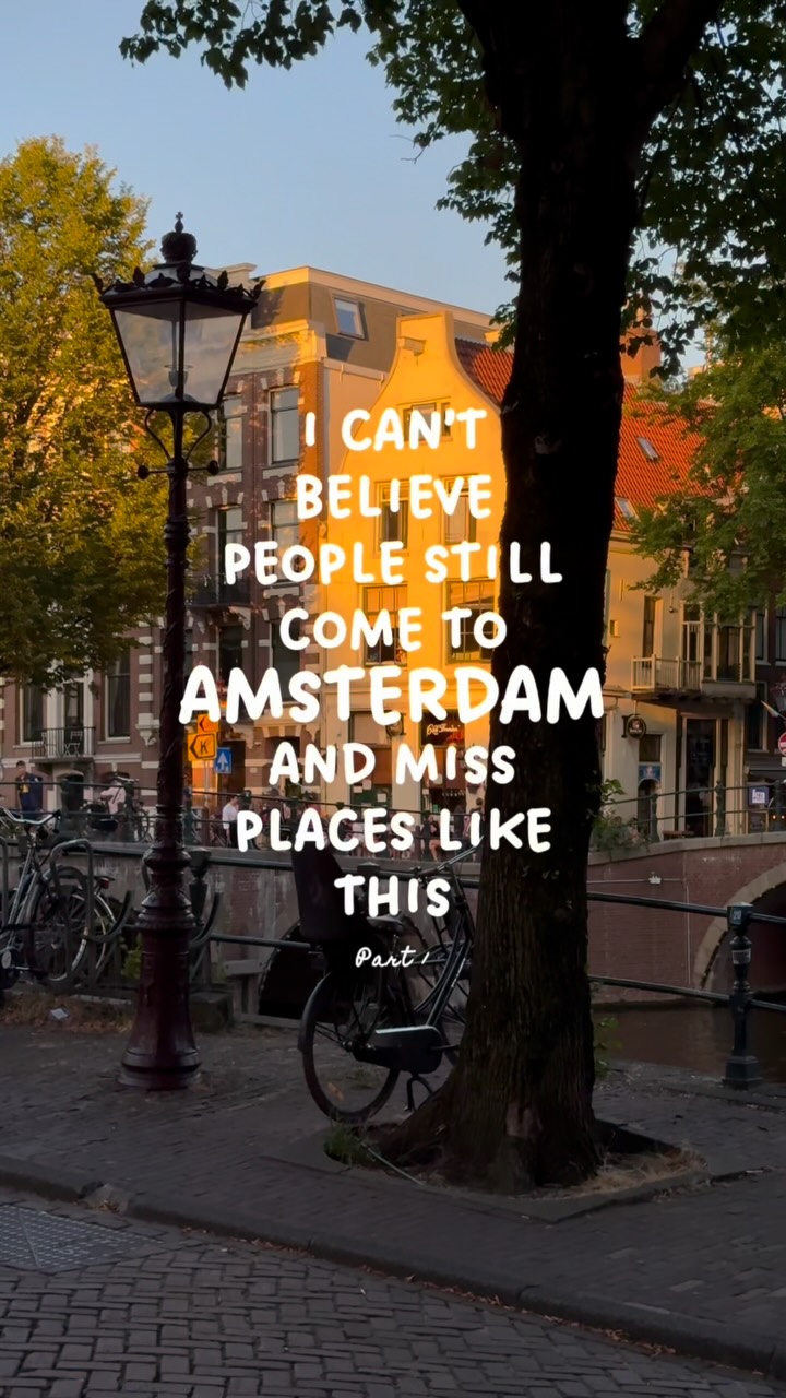Amsterdam's Museums and Universities