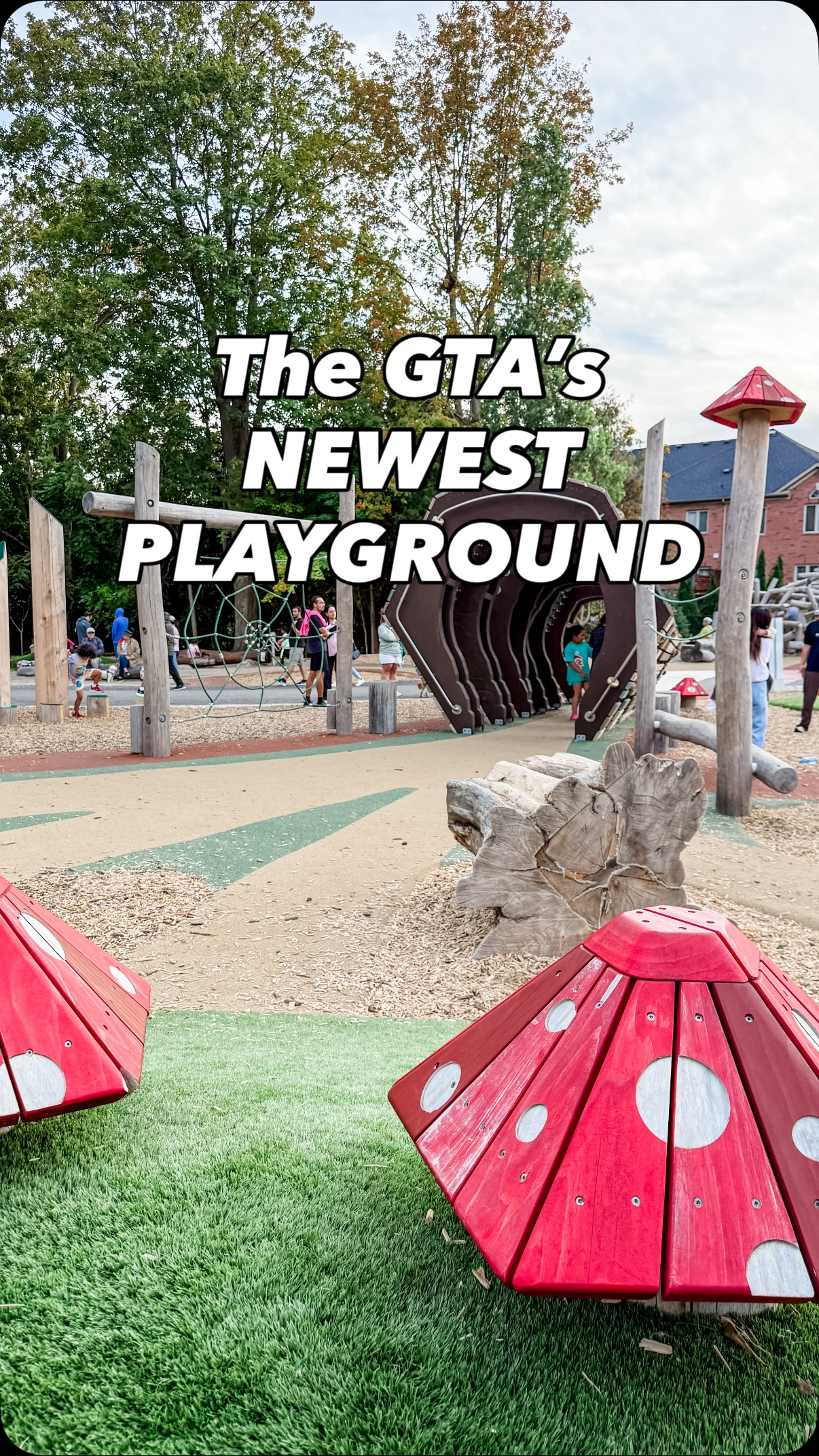 Newmarket's Hollow Log Play Park Features