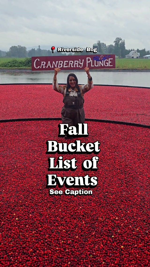 PNW Autumn Adventures: Cranberry Bogs to Vineyards