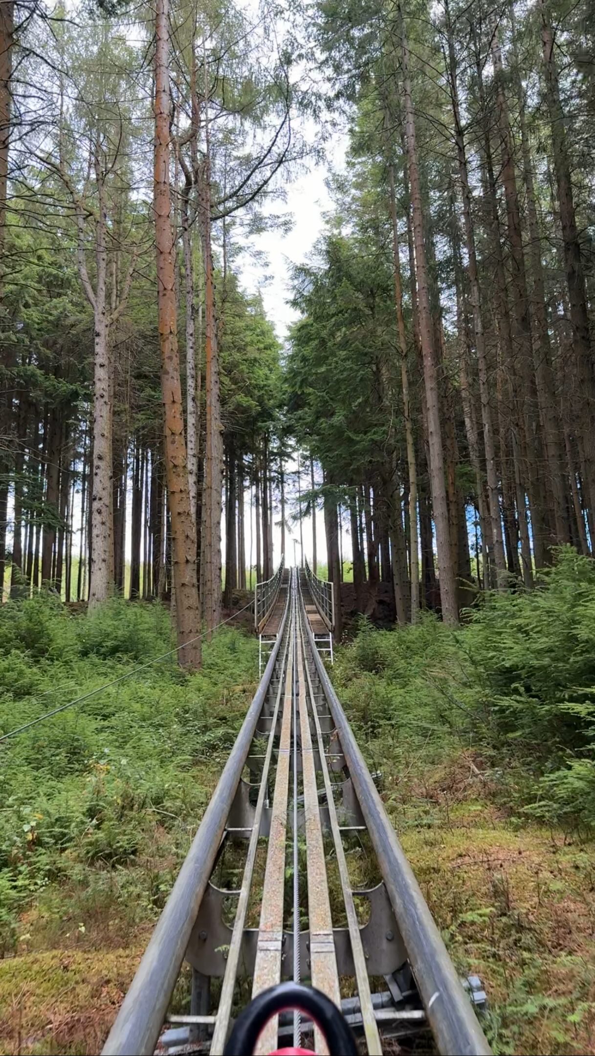 Zip World Betws-y-Coed Forest Coaster Experience