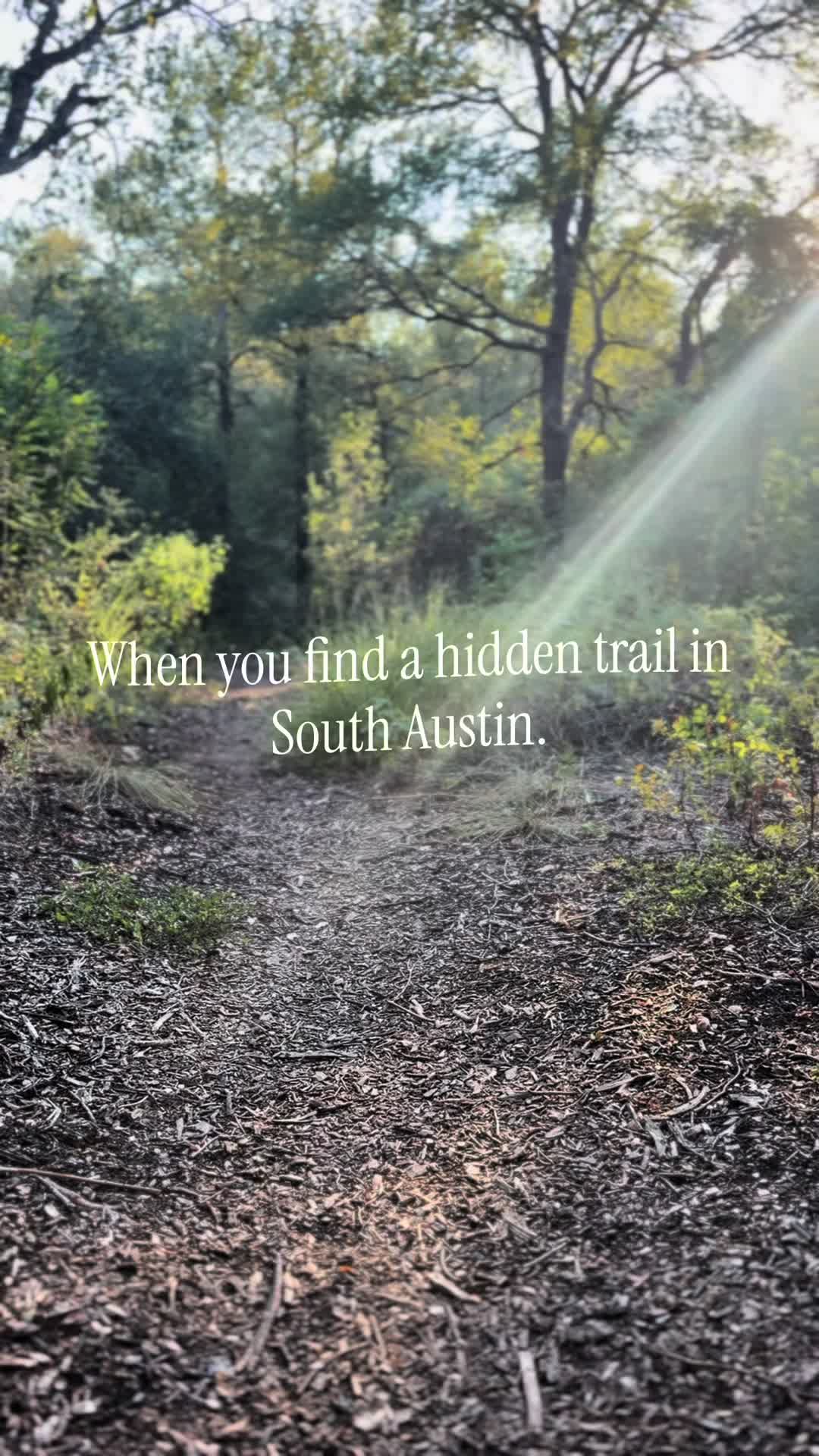 Austin Nature Preserves With Ancient Volcanic Rock