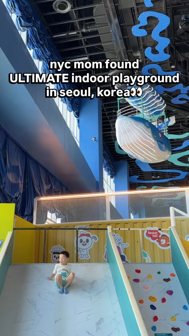 Largest Indoor Playground Features Whale Ride And Slides
